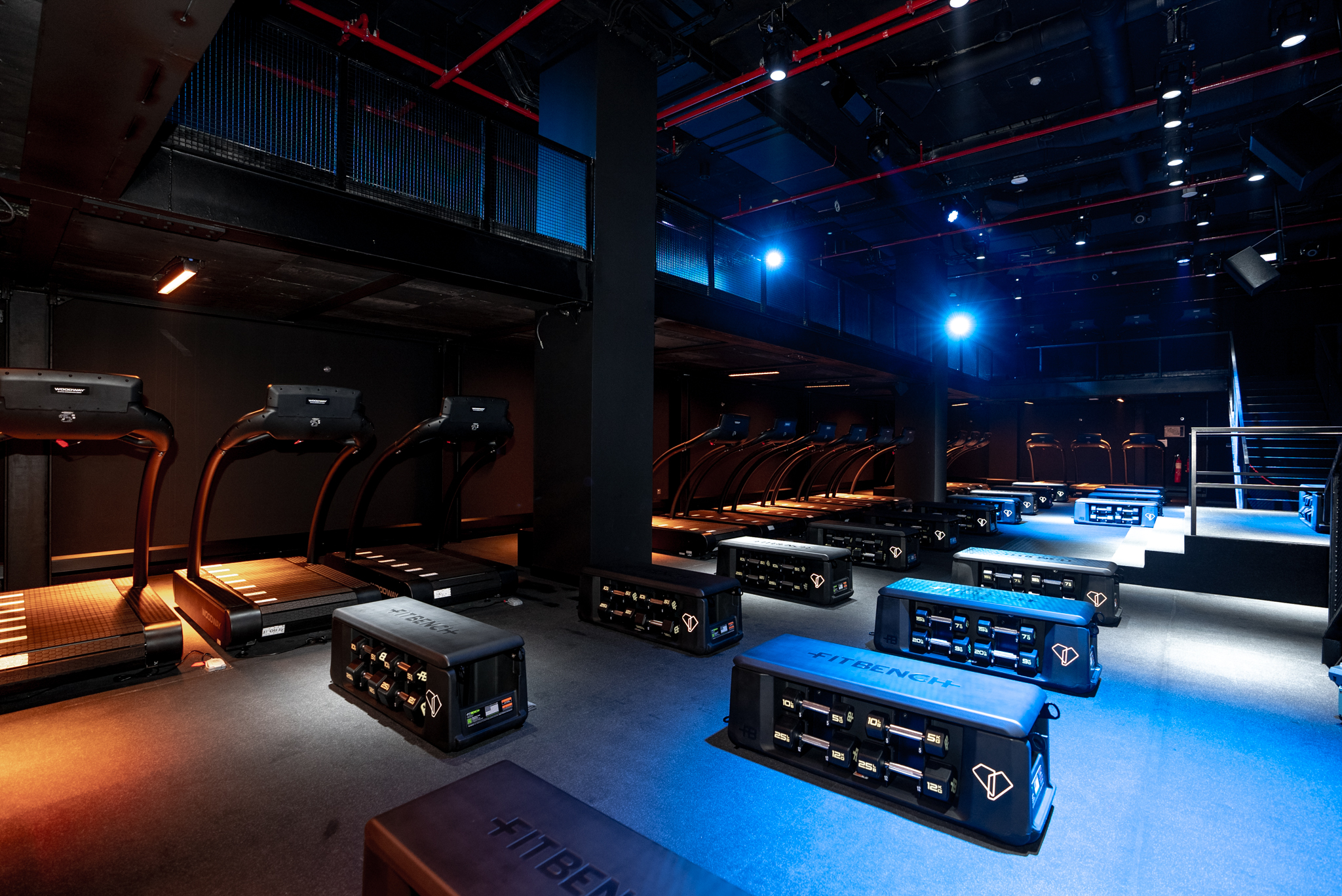 Copy of DSC09366 (1)